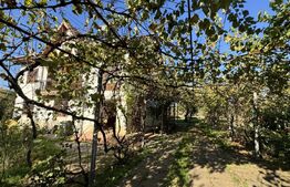 Casă cu anexe, 134 mpc, teren 2.440 mp, front 44 m, Giubega