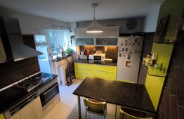 Vila luxoasa D+P+E+M, 190 mp utili si 500 mp teren, langa parcul Romanescu!