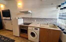 Garsoniera 30 mp, mobilata modern, zona Ultracentral 