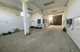 Vila 350 mp utili si 914 m teren, zona Brestei-Ambasador, deschidere trilaterala