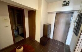 Apartament 2 camere 50mp, centrala termica, aer conditionat, Rovine