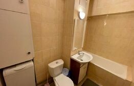 Apartament 2 camere 50mp, centrala termica, aer conditionat, Rovine