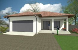 Casa plan parter 250mp utili, 1024mp teren, Pielesti 