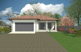 Casa plan parter 250mp utili, 1024mp teren, Pielesti 