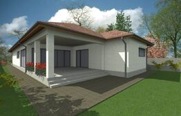 Casa plan parter 250mp utili, 1024mp teren, Pielesti 
