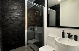 Duplex în exclusivitate(A+B), 225 mp, 460 mp teren, la cheie, Popoveni