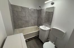 Garsoniera renovata, 28 mp, zona Liceul Nicolae Titulescu, Brazda lui Novac 