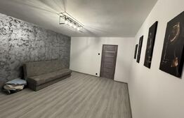 Garsoniera renovata, 28 mp, zona Liceul Nicolae Titulescu, Brazda lui Novac 