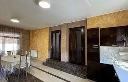 Vilă S + P + M de 286 mpu și curte 875 mp, saună, piscină acoperită, zona Ford 