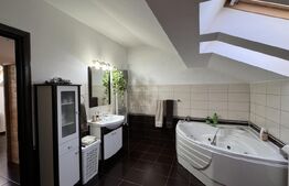 Vilă S + P + M de 286 mpu și curte 875 mp, saună, piscină acoperită, zona Ford 