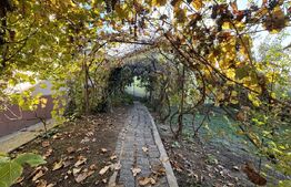 Casa pe parter cu panoramă  82 mp utili, 576 mp teren, zona Agronomie