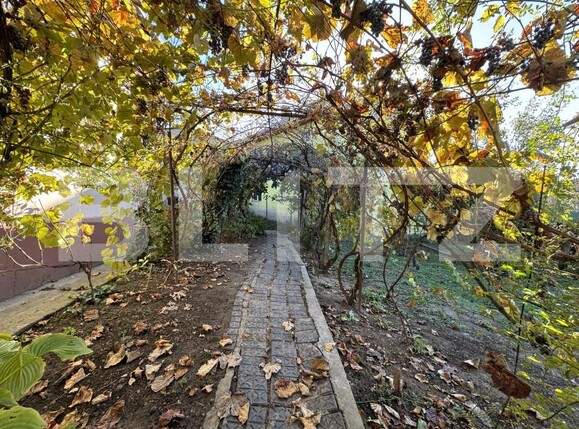 Casa de vânzare 4 camere Brestei - 161502CV | BLITZ Craiova | Poza10