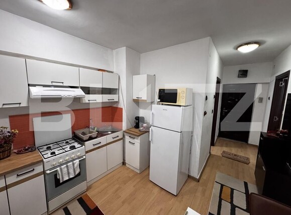 Garsonieră de închiriat Calea Bucuresti - 161671AI | BLITZ Craiova | Poza8