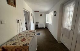 Casa de 160 mp utili, cu 750 mp de teren, in Cosoveni 