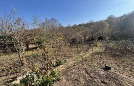 Casa de 160 mp utili, cu 750 mp de teren, in Cosoveni 