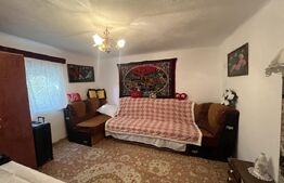 Casa de 160 mp utili, cu 750 mp de teren, in Cosoveni 