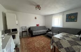 Casa de 160 mp utili, cu 750 mp de teren, in Cosoveni 