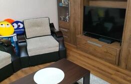 Apartament cu 2 camere, etaj 1, centrală termică, zona Craiovița Nouă