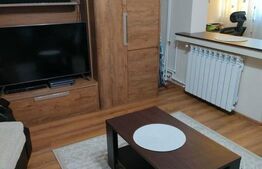 Apartament cu 2 camere, etaj 1, centrală termică, zona Craiovița Nouă