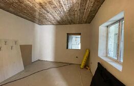 Casă în zona liceului Traian Vuia semifinisată, parter + demisol, teren 327 mp 