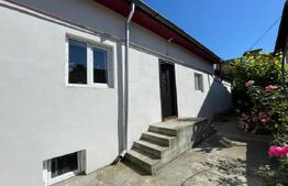 Casă în zona liceului Traian Vuia semifinisată, parter + demisol, teren 327 mp 