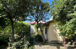 Casă în zona liceului Traian Vuia semifinisată, parter + demisol, teren 327 mp 