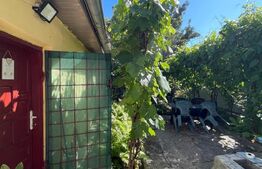 Casă în zona liceului Traian Vuia semifinisată, parter + demisol, teren 327 mp 