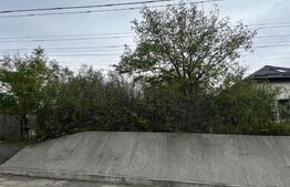 Teren 1895 mp, in Carcea, front 21 ml, toate utilitatile