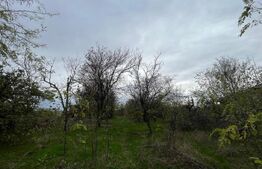 Teren 1895 mp, in Carcea, front 21 ml, toate utilitatile