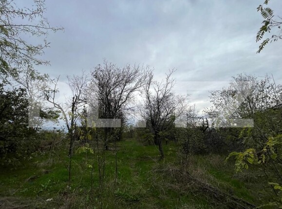 Teren de vânzare Carcea  - 162008TV | BLITZ Craiova | Poza2