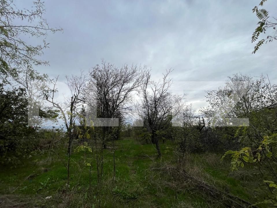 Teren de vânzare Carcea  - 162008TV | BLITZ Craiova | Poza2