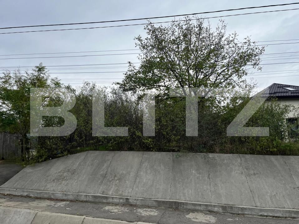 Teren de vânzare Carcea  - 162008TV | BLITZ Craiova | Poza3