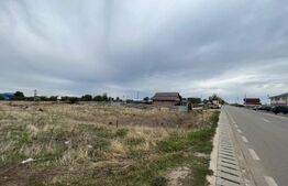 Teren 1000 mp, Carcea, Hanul cu Ponei 