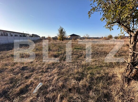 Teren de vânzare Carcea  - 162024TV | BLITZ Craiova | Poza6