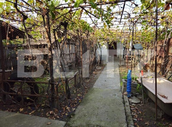 Teren de vânzare Brestei - 162214TV | BLITZ Craiova | Poza2