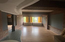 Cladire comerciala, 377 mp, zona Bulevardul Gheorghe Chitu