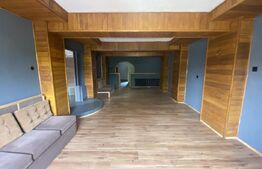 Cladire comerciala, 377 mp, zona Bulevardul Gheorghe Chitu