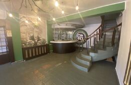 Cladire comerciala, 377 mp, zona Bulevardul Gheorghe Chitu