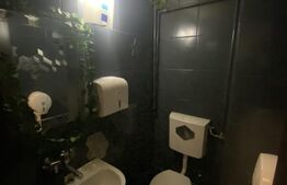 Cladire comerciala, 377 mp, zona Bulevardul Gheorghe Chitu