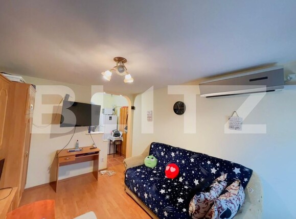 Garsonieră de vânzare Valea Rosie - 162311AV | BLITZ Craiova | Poza2