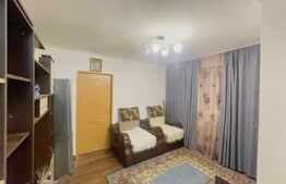 Apartamente 27 mp, parter, zona Piata Valea Roșie