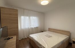 Apartament 3 camere decomandat, CT, et. 2, Rovine
