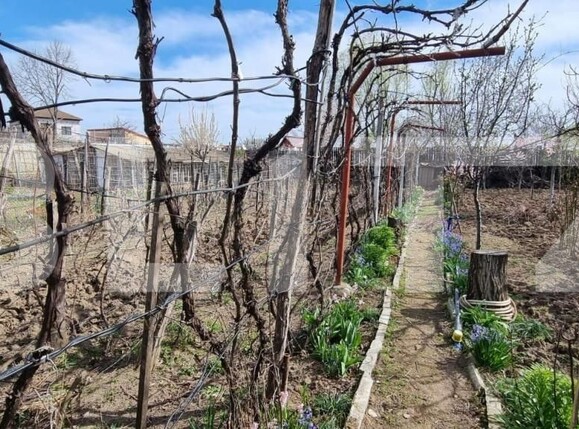 Teren de vânzare Bariera Valcii - 162522TV | BLITZ Craiova | Poza2