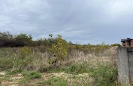 Teren 3400 mp, zona Carcea la E70/str Craiovei 