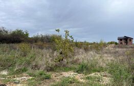 Teren 3400 mp, zona Carcea la E70/str Craiovei 