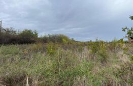 Teren 3400 mp, zona Carcea la E70/str Craiovei 