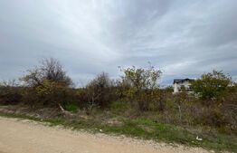 Teren 3000 mp, dubla deschidere de 32 ml in proximitatea Str Craiovei/Carcea