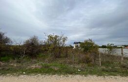 Teren 3000 mp, dubla deschidere de 32 ml in proximitatea Str Craiovei/Carcea