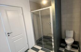 Casa P+1, 115 mp utili si 500 mp de teren, zona Metro/Aeroport