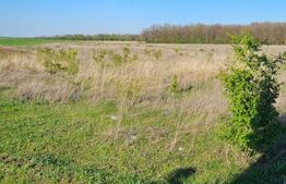 Teren intravilan, 609 mp, zona Pielesti-Qfort